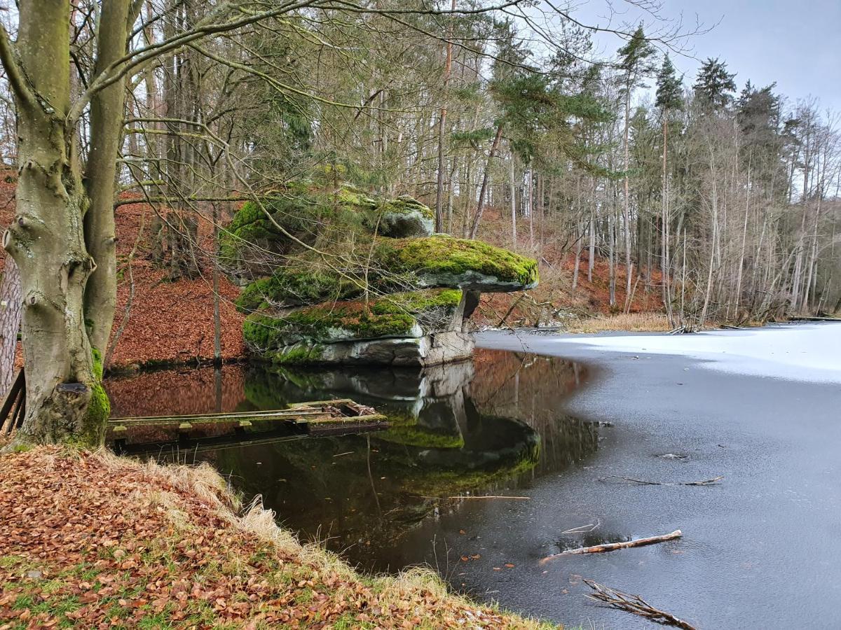 Gaestehaus Aurelia Wiesau Exteriér fotografie