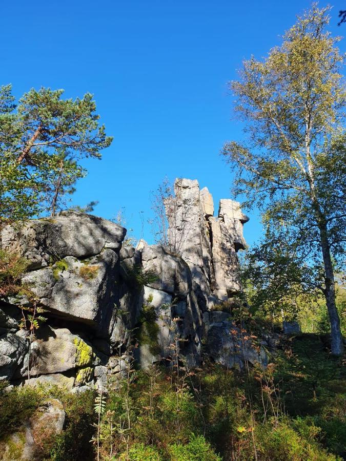 Gaestehaus Aurelia Wiesau Exteriér fotografie